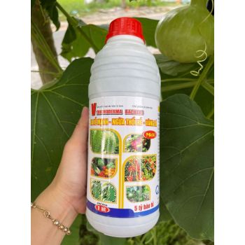 Trichoderma bacillus chai 1 lit ra rễ mạnh ngừa thối rễ vàng lá